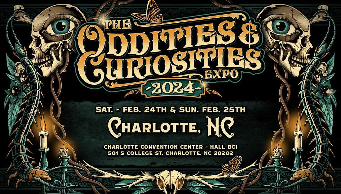 Oddities & Curiosities Expo Charlotte | Feb 24-25, 2024